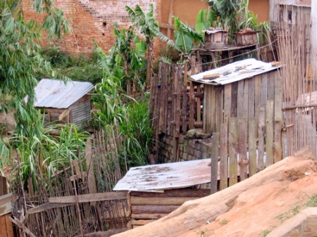 Fianarantsoa - someone's yard.